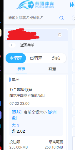 255芬兰超大球.png