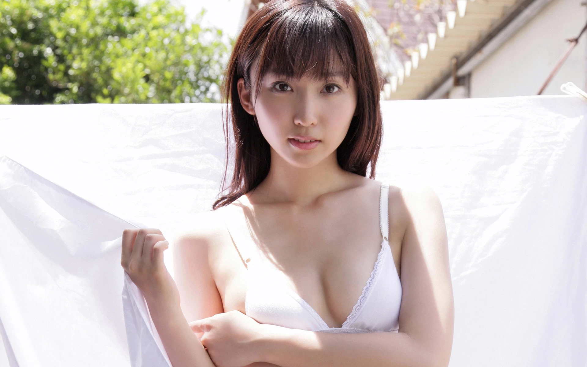 17393044.webp