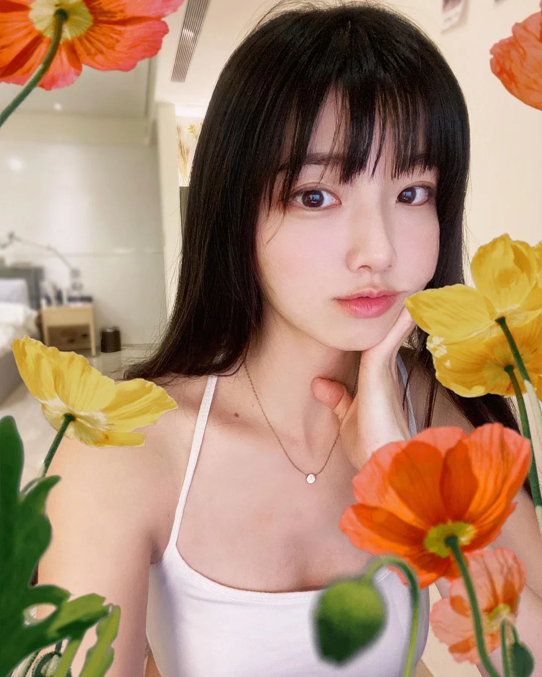 18404378.webp