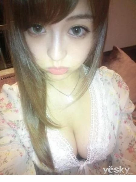 17355404.webp