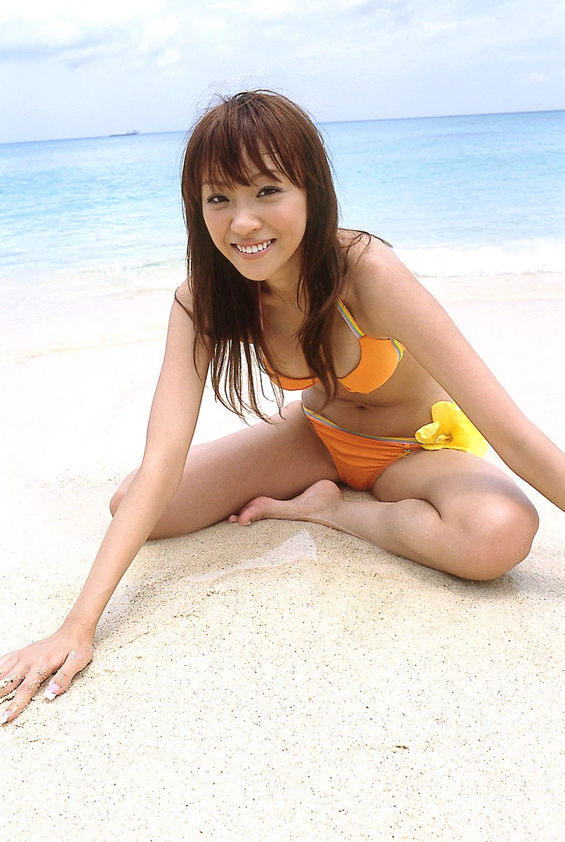 17259378.webp