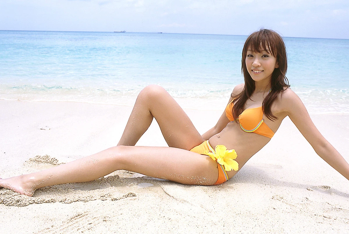 17259379.webp