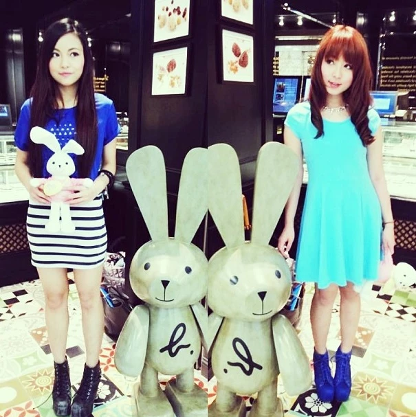 17247929.webp