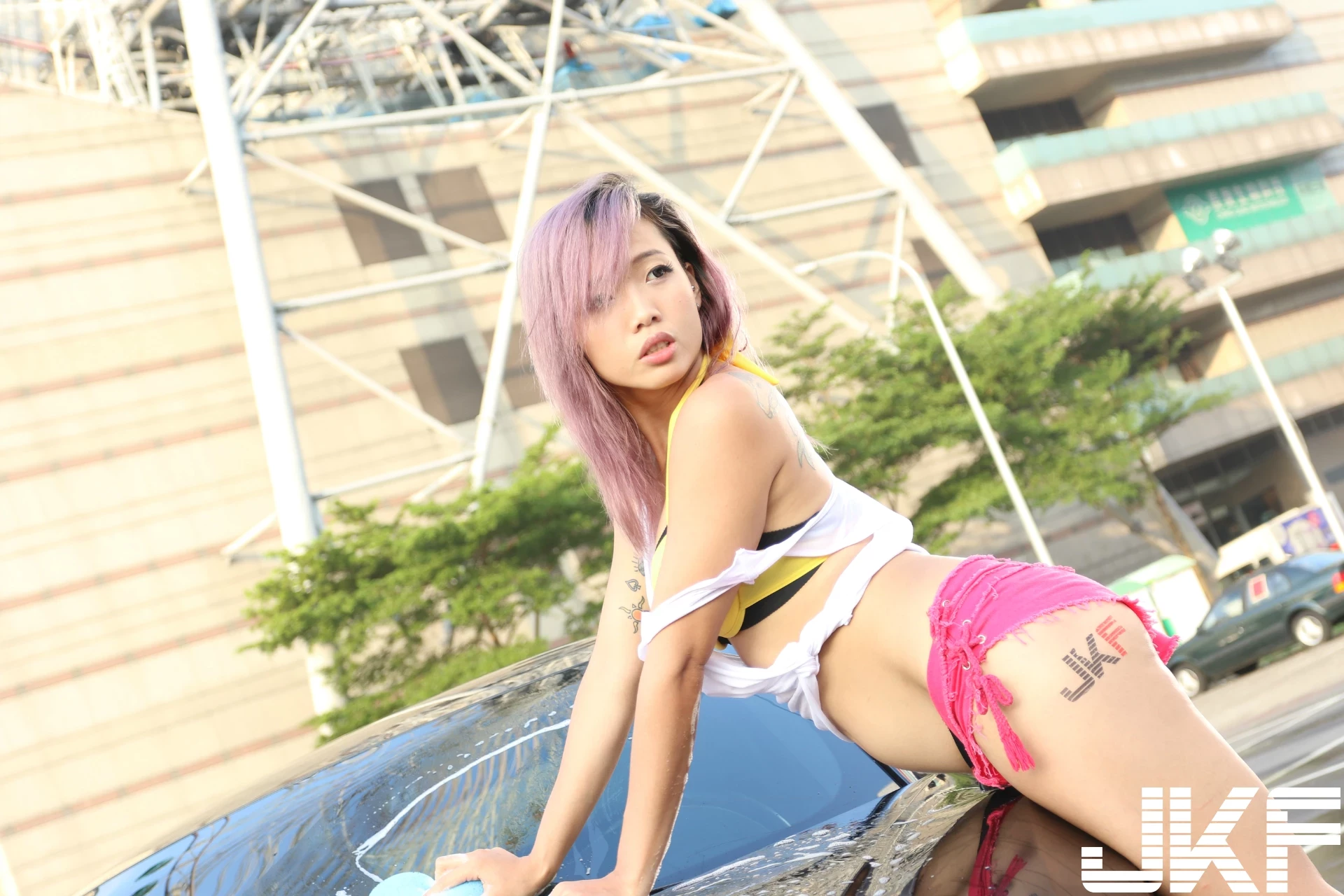 16854495.webp