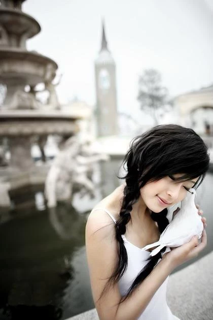 17637319.webp