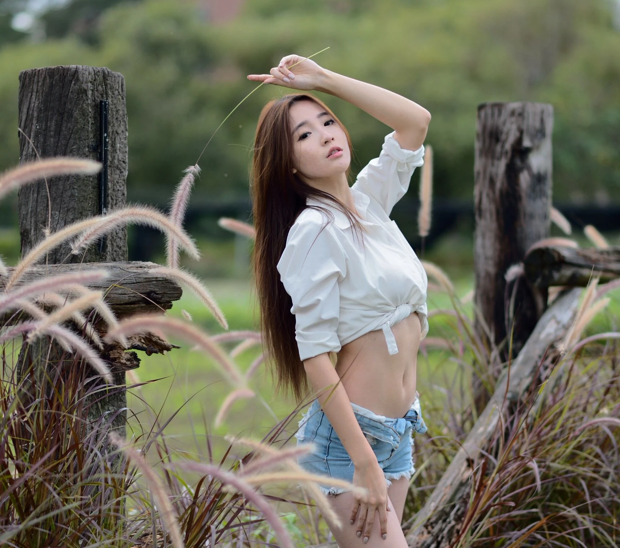 4443927.webp