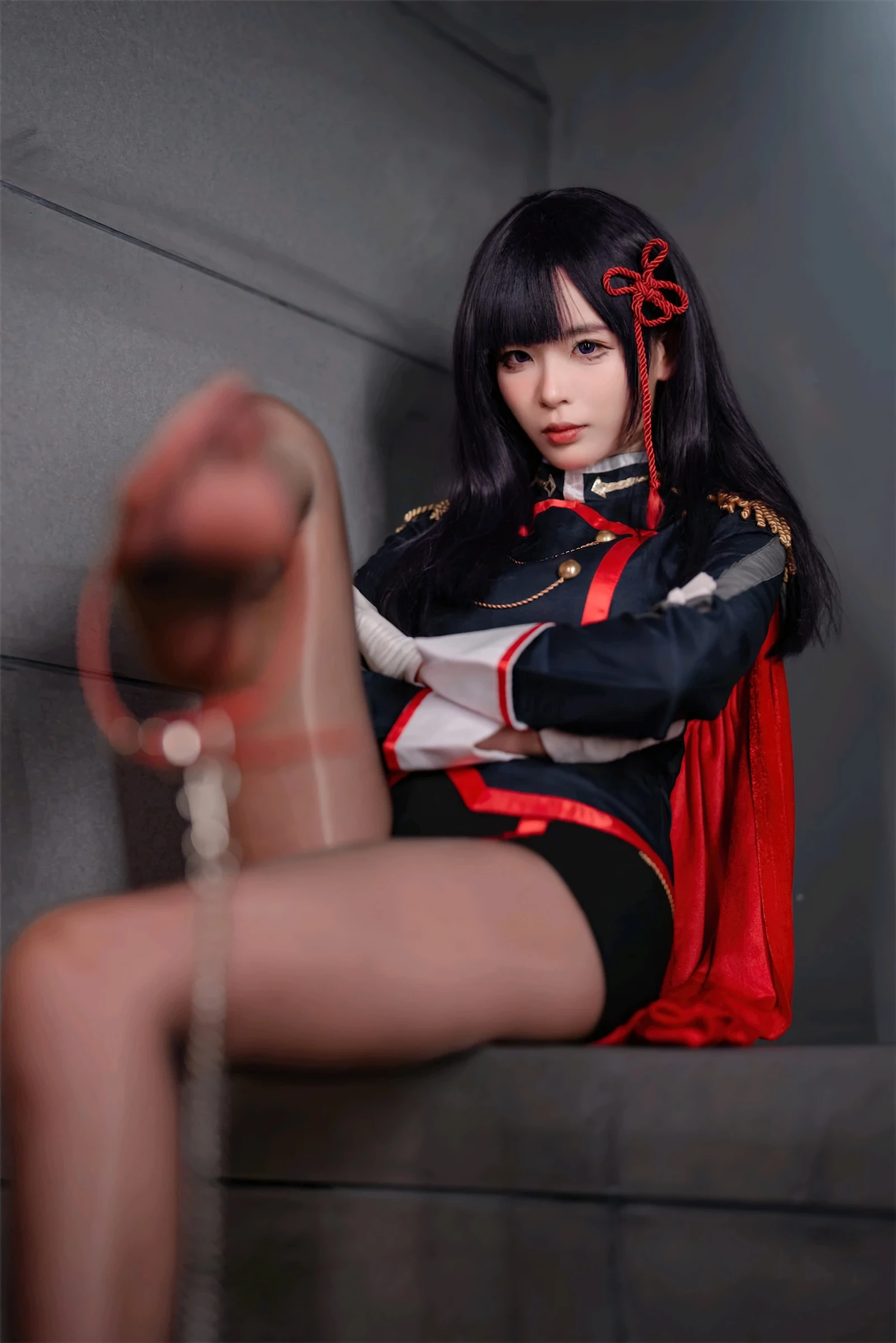 31347069.webp