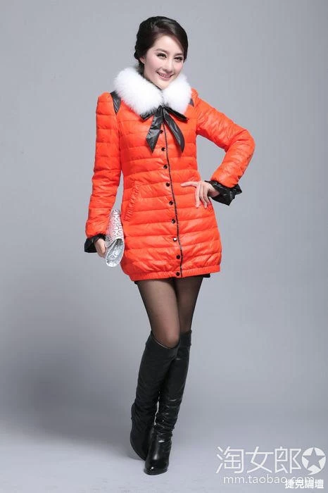 17312198.webp