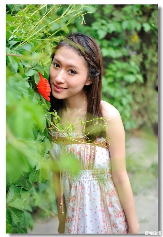 17417343.webp