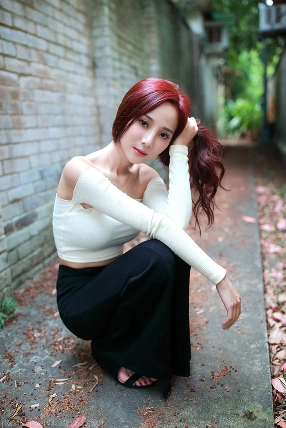 4331204.webp