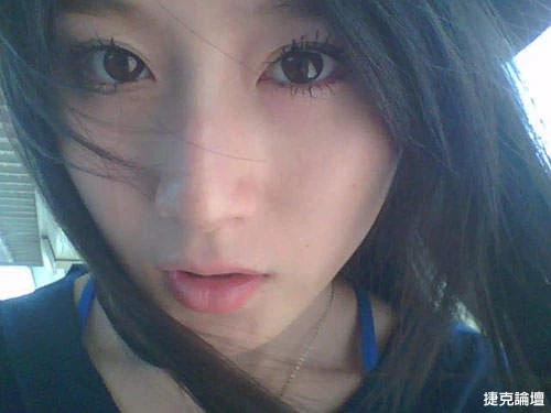 17330373.webp