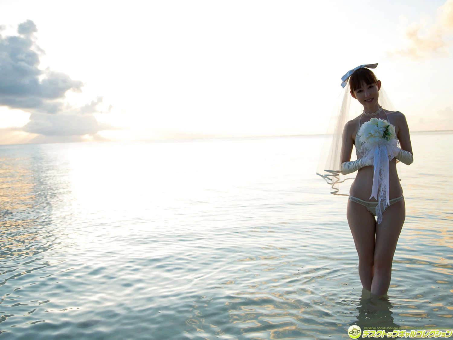 29334181.webp