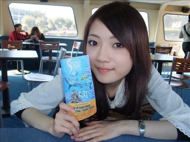17911561.webp
