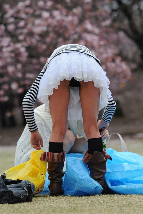 17523200.webp
