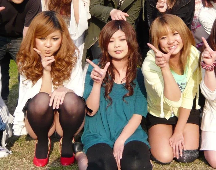 17523210.webp
