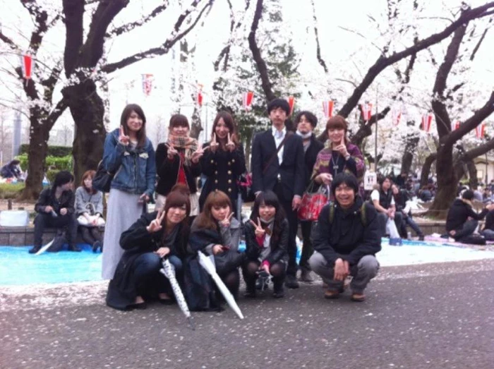 17523213.webp