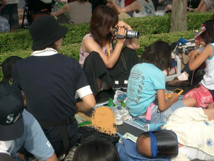 17523218.webp