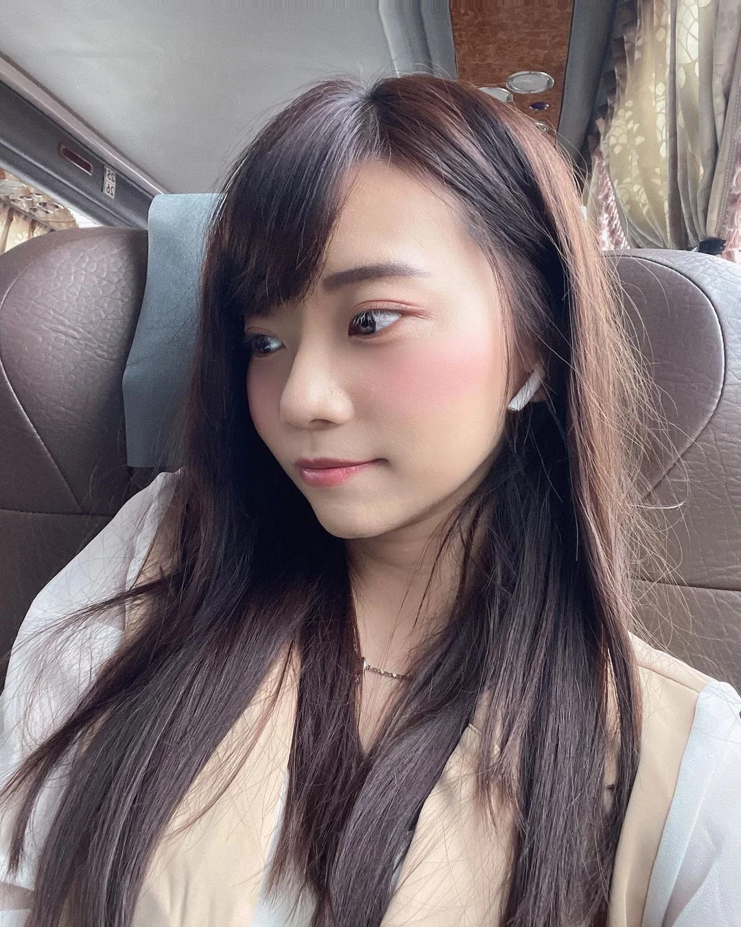 18264305.webp