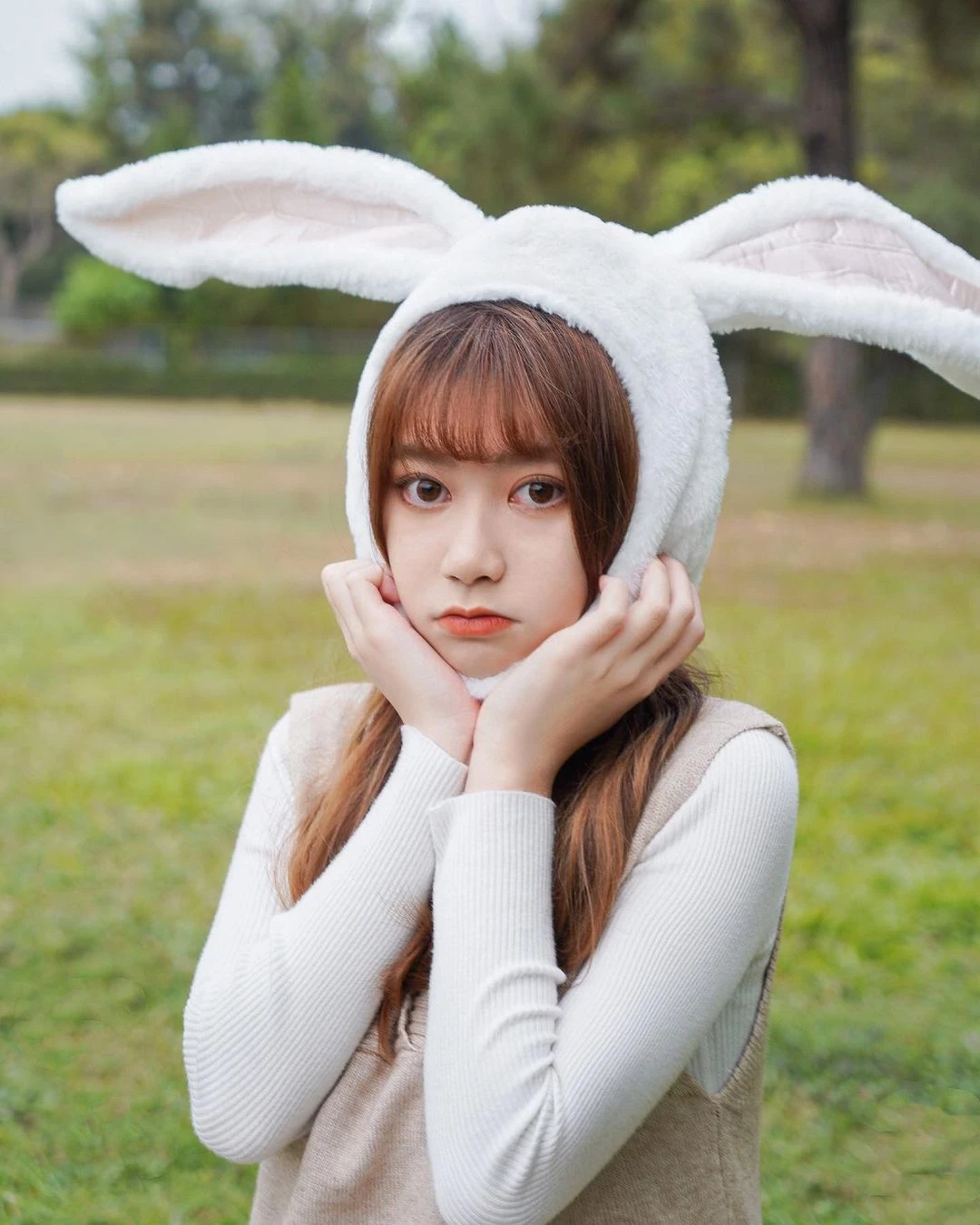 19477725.webp