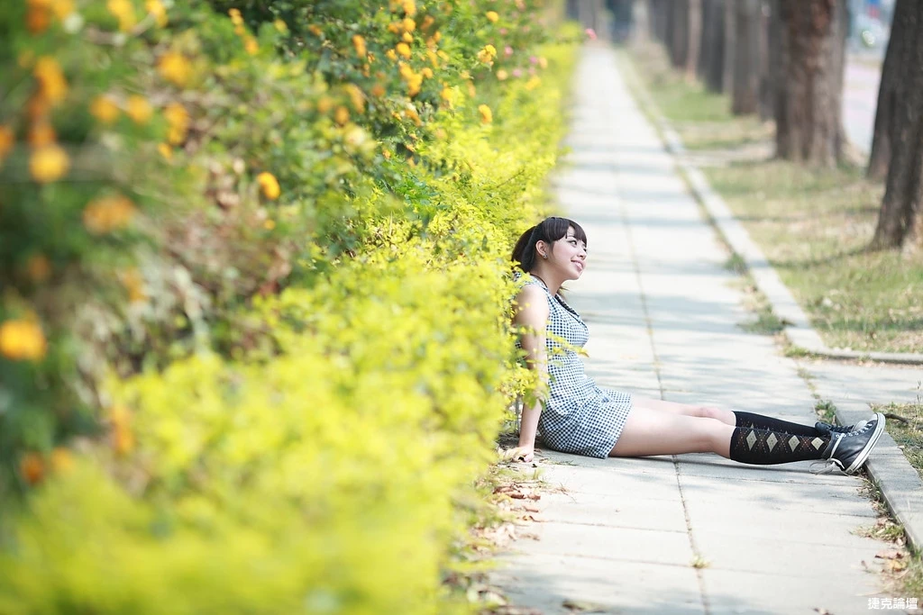 17509155.webp