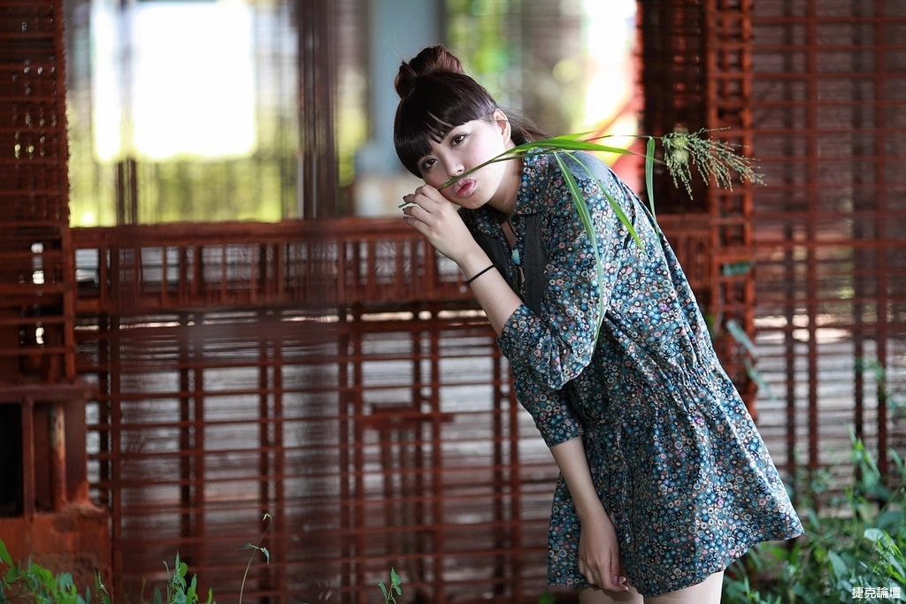 17509174.webp