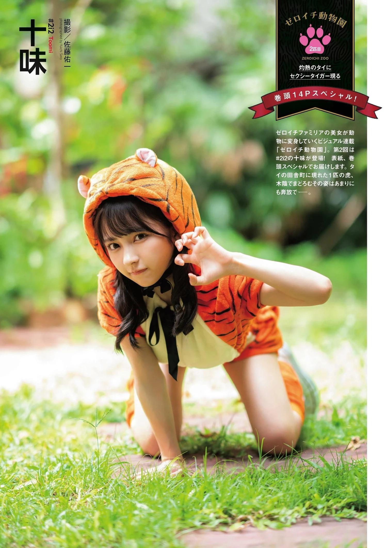 29167673.webp