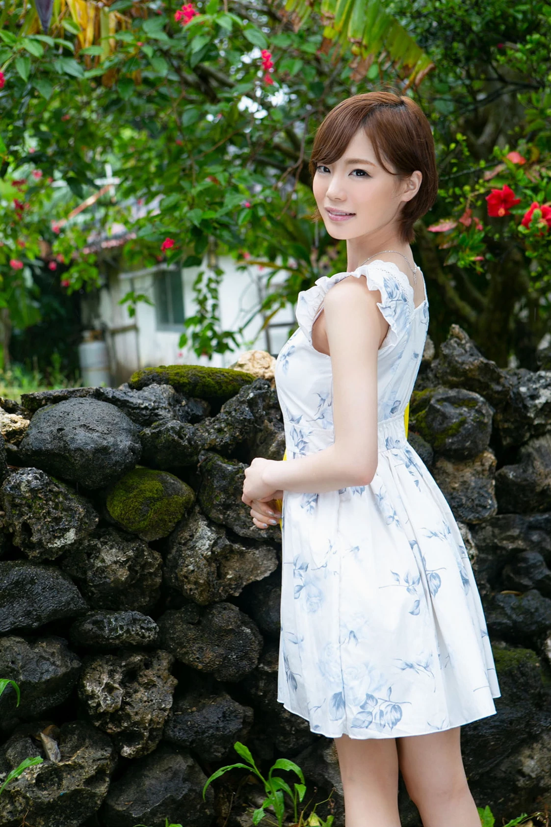 29147725.webp