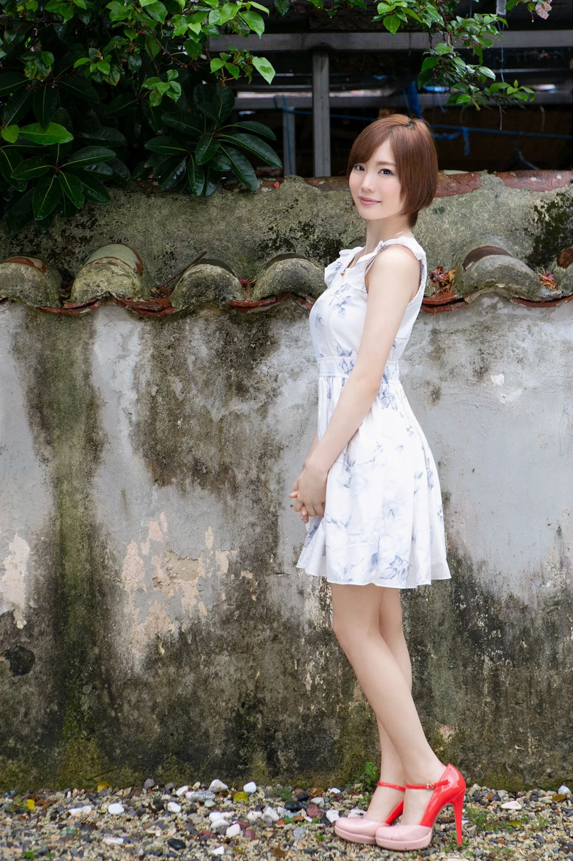 29147736.webp