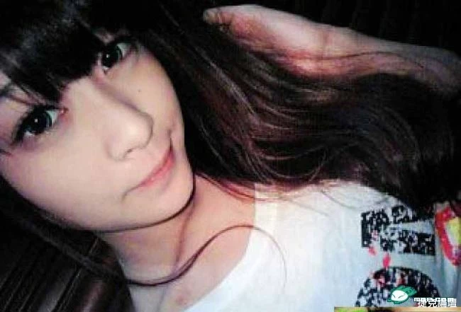 17520012.webp