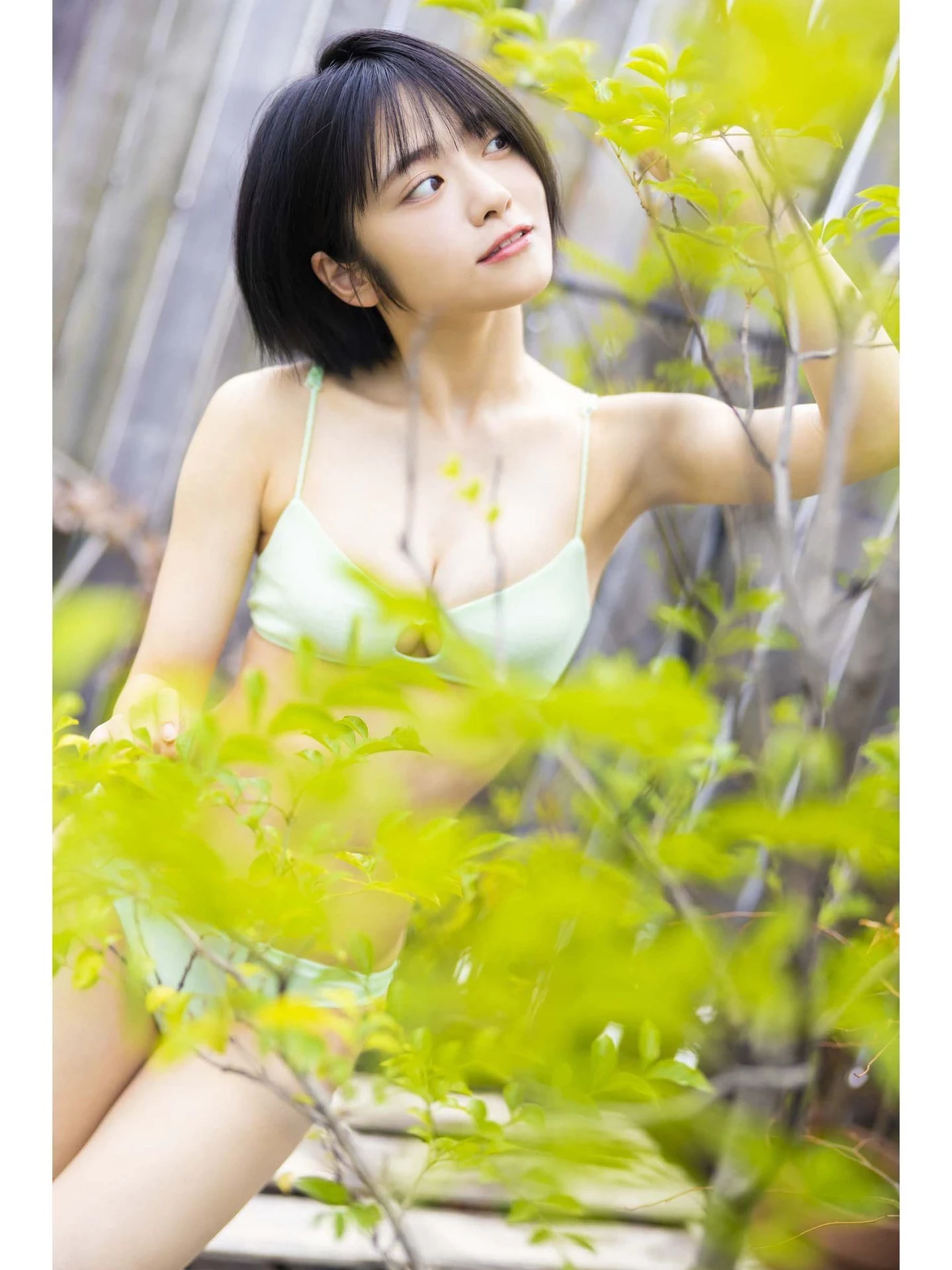 29149886.webp