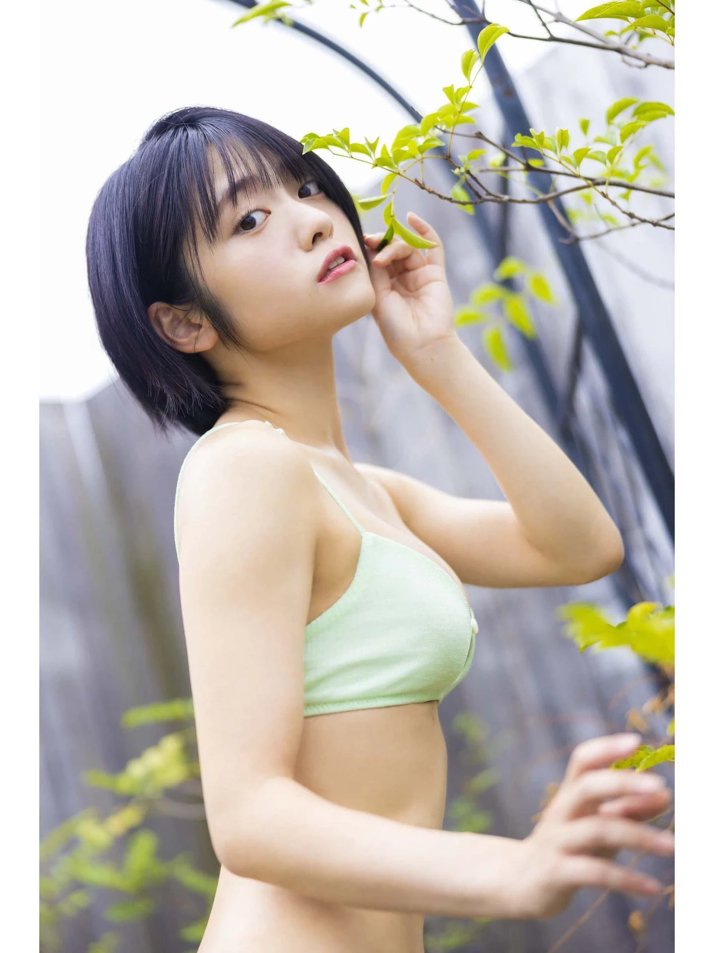 29149887.webp
