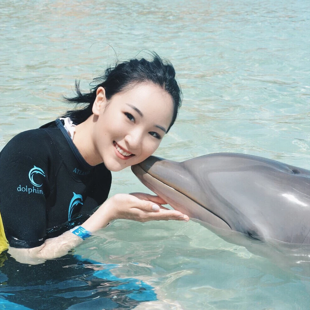 4284550.webp