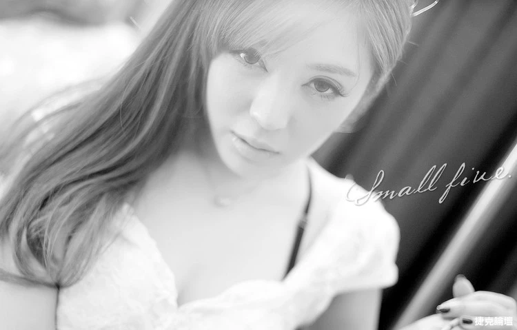 17520033.webp
