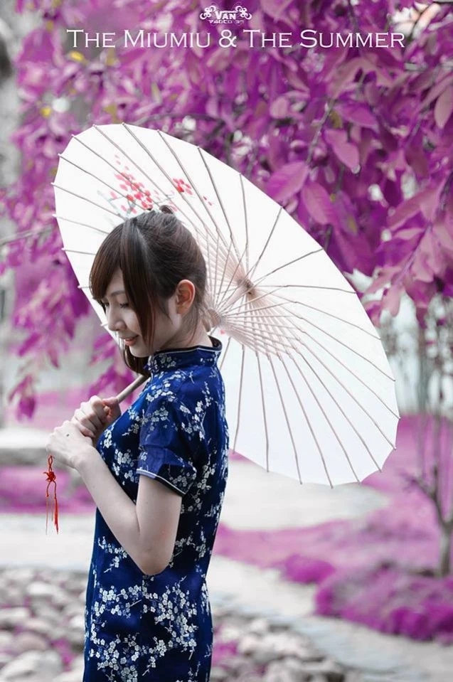 17192264.webp
