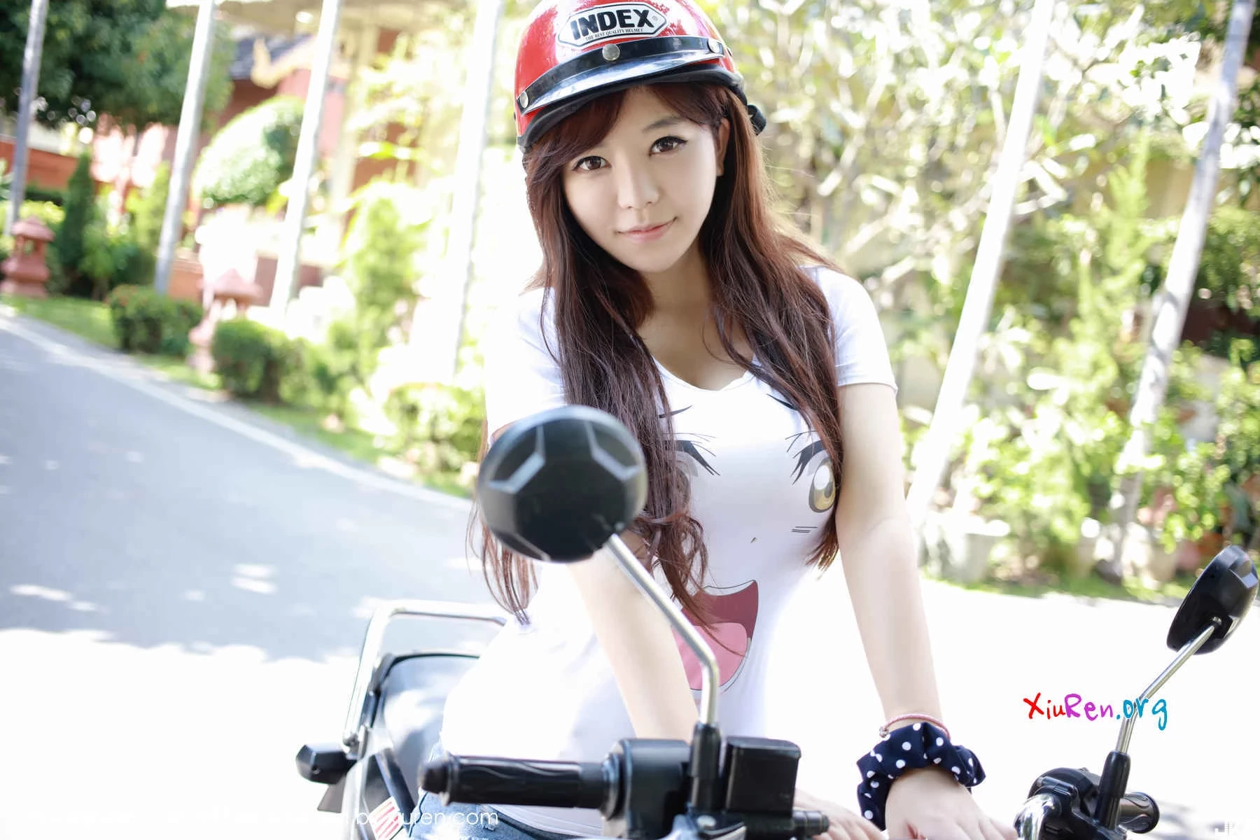 16883266.webp