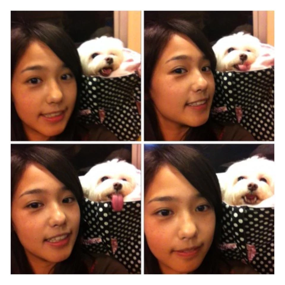 17211986.webp