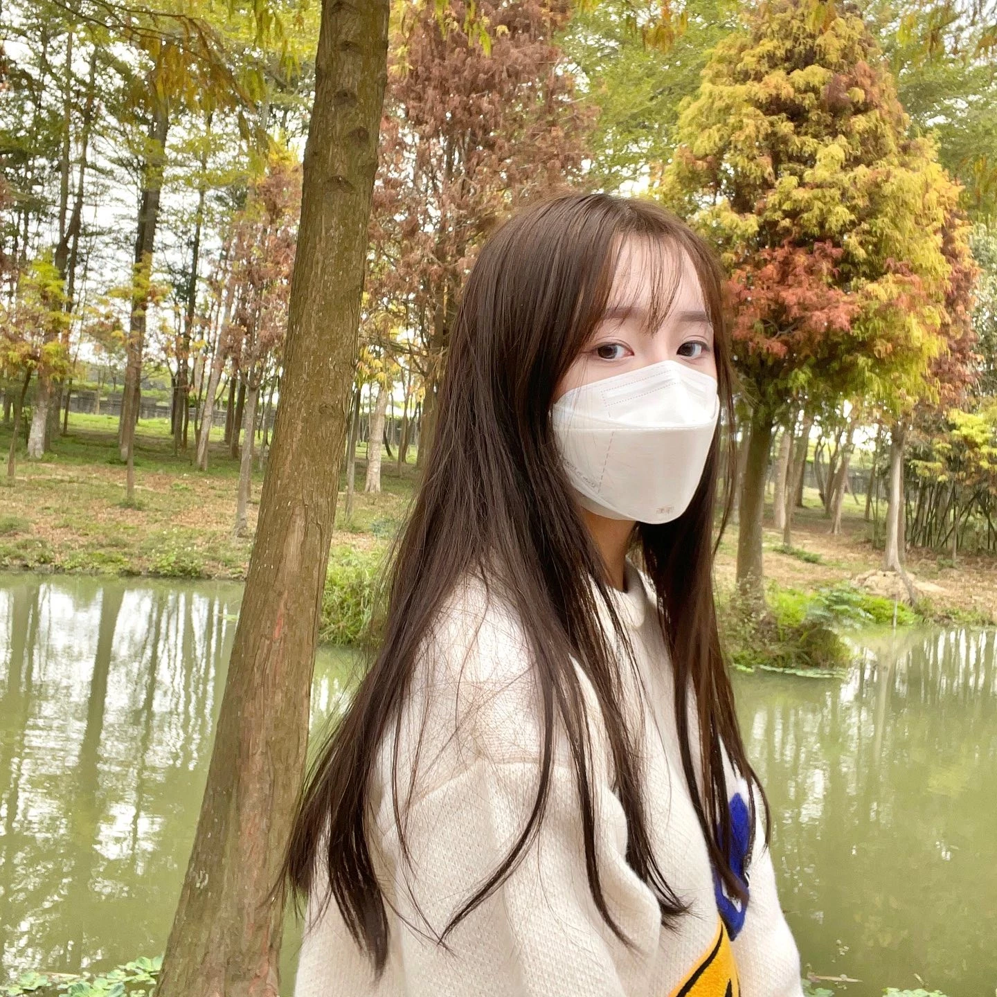 23559458.webp