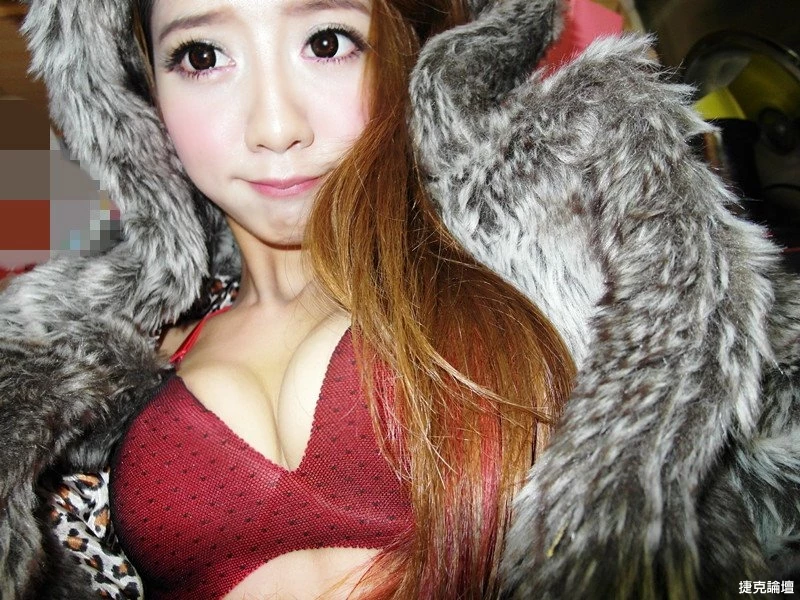 17355795.webp