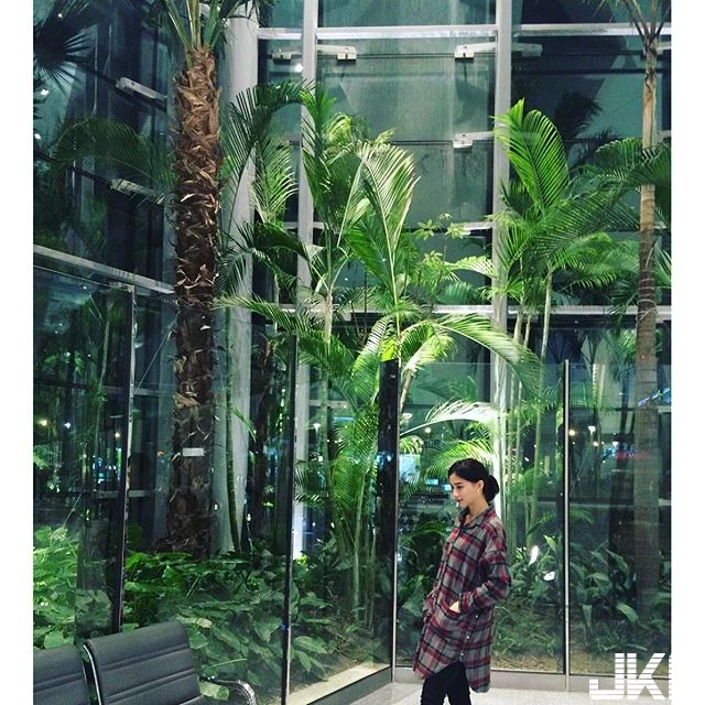 16801553.webp