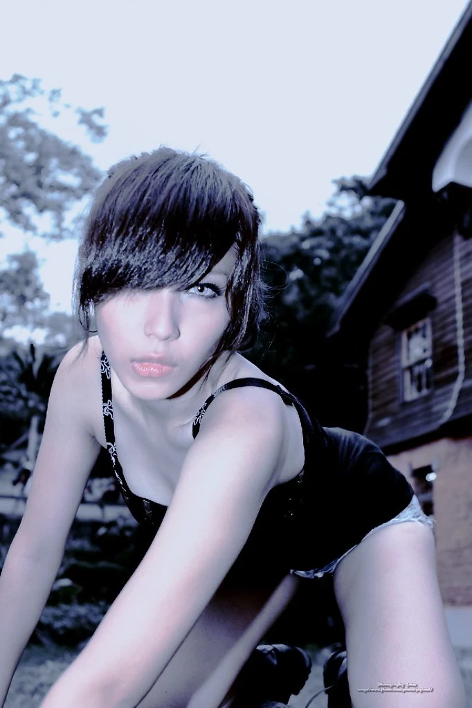 17803619.webp