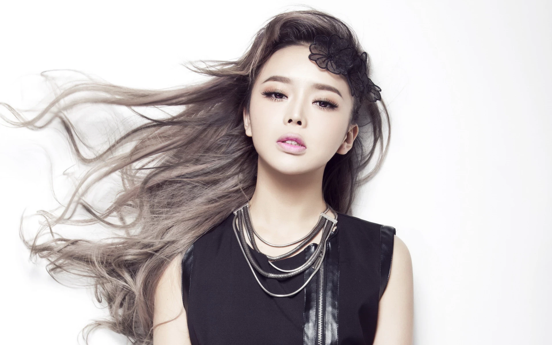 17097670.webp