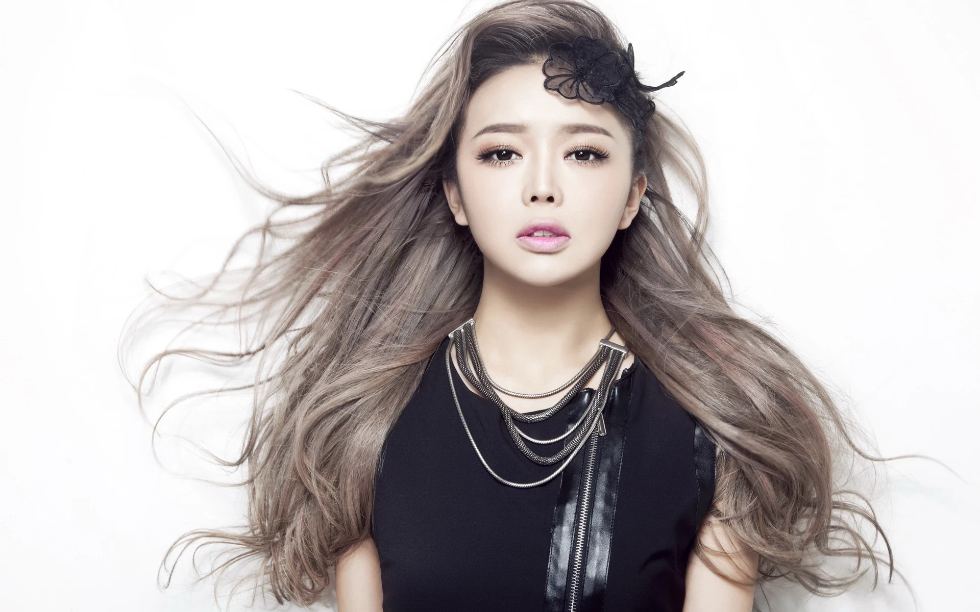 17097672.webp