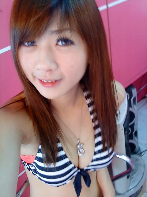 17908861.webp