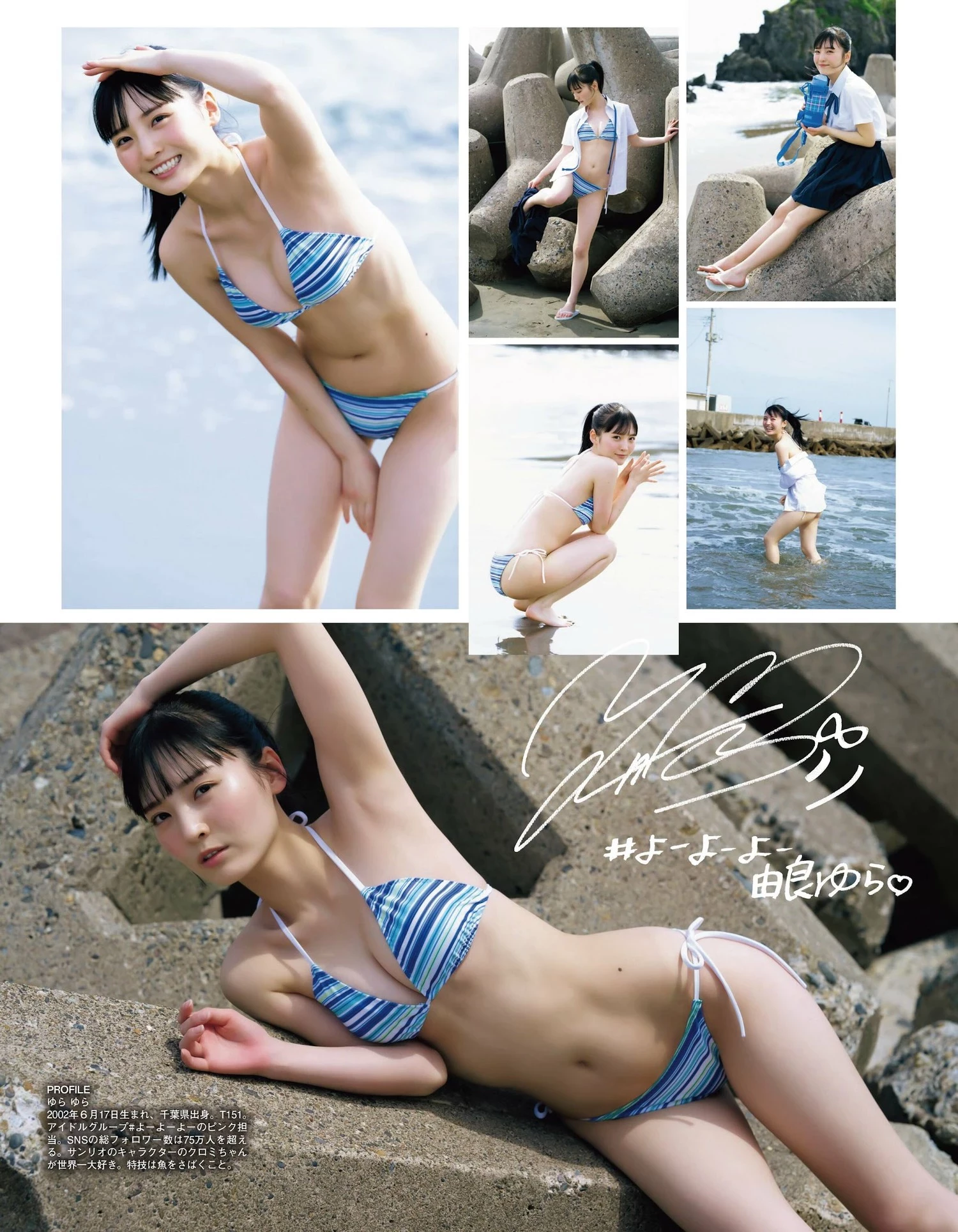 28665007.webp