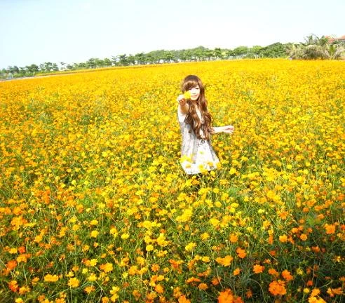 17880456.webp