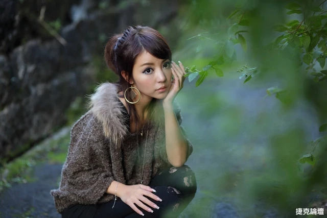 17530565.webp