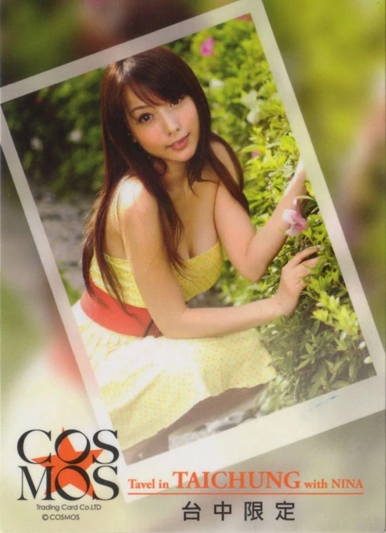 17341268.webp