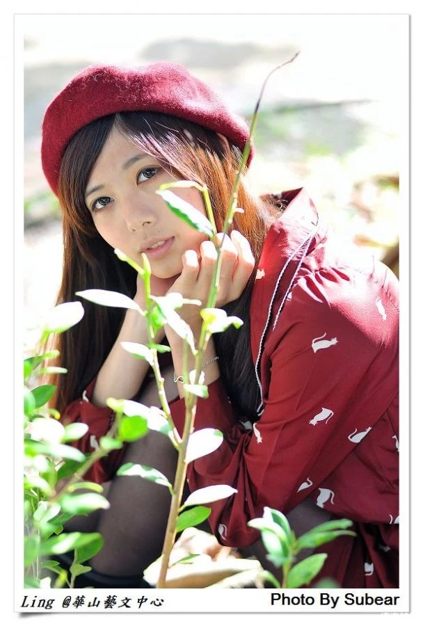 17365000.webp