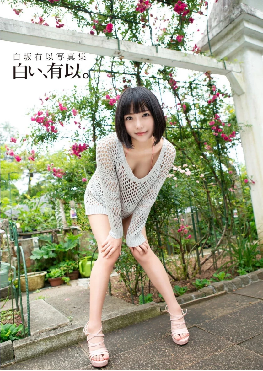 31437150.webp