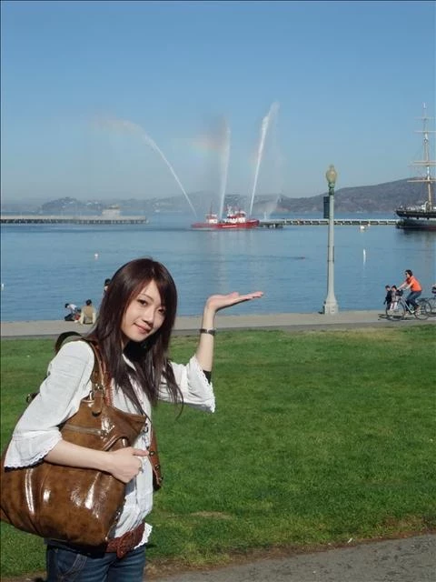 17911551.webp